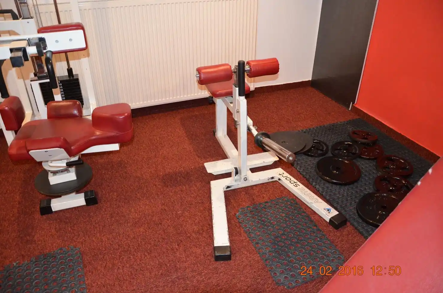 TRICEPS-GYM - Nowoczesne wyposażenie do treningu