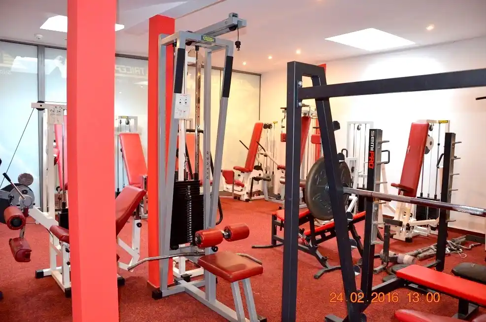 TRICEPS-GYM - Profesjonalne wyposażenie treningowe