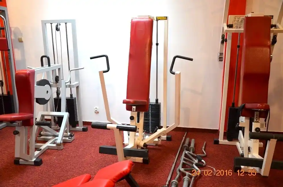 TRICEPS-GYM - Strefa treningowa z maszynami